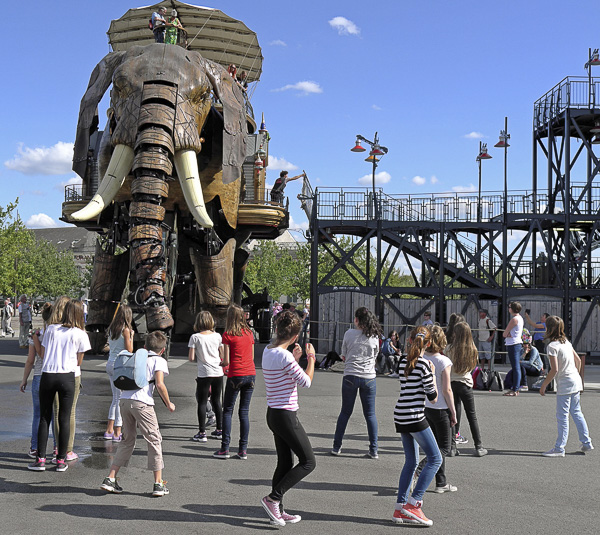 ANIMAUX FANTASTIQUES Olivier Tardiveau Photographe Nantes étonnante Éléphant b1-60